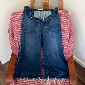 Free People /We the free Wide leg Jeans Fringe